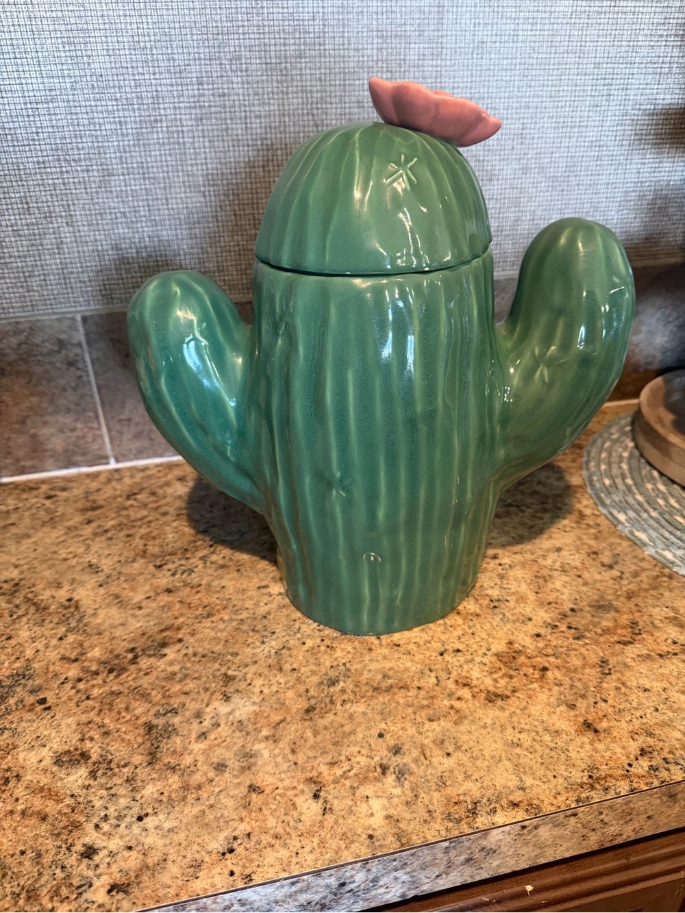 Ceramic Cactus Cookie Jar - Green